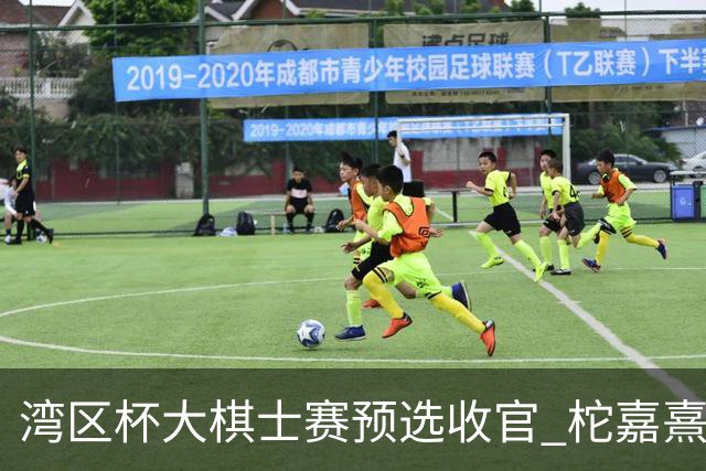 湾区杯大棋士赛预选收官 柁嘉熹黄云嵩等14人出线